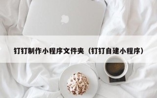 林芝钉钉制作小程序文件夹（钉钉自建小程序）