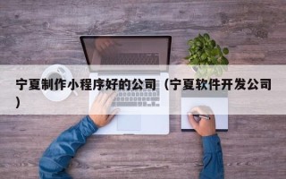 林芝宁夏制作小程序好的公司（宁夏软件开发公司）